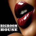 big room house, club classics, vocal disco, disco edits (check it out)