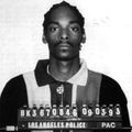 Best Of Snoop Doggy Dogg Mix w/ DJ Fly