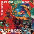 DEL THE FUNKY HOMOSAPIEN & ZAC HENDRIX : WHERE'D YOU GET YOUR FUNK FROM ?