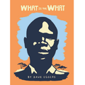 What is the what - Dave Eggers