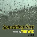 Something Sexy Vol.3