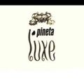 PINETA LUX INVERNO 1990 (PLAYSTUDIONOTTE) DJ MASSIMO PADOVANI LATO A