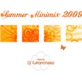 Summer Minimix 2009