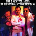 DJ Big Sash - Hot & New Vol.1