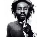 Burning Spear Roots Mix