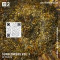 Sunflowers - 23rd June 2022