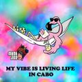 MY VIBE RIGHT NOW IS LIVING LIFE IN CABO
