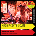 Magnificent Biscuits #42 - Electronic // Jazz // World