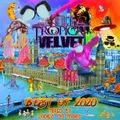 Ladies on Mars - Tropical Velvet Best Of 2020 (Continuous DJ Mix) - (Tropical Velvet)