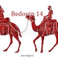 Bedouin 14