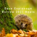 Burrow 2021 (Burrito) Beats