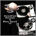 Dj ''S'' - Soulful House & Neo Soul ''2''