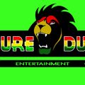Selector Qplus & Ibu Badman Live Reggae Mixtape (Pure Dub Entertainment)