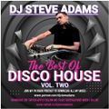 The Best Of Disco House Vol. 2