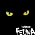 hofer66 - felina - live at pure ibiza radio 190703