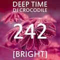 Deep Time 242 [bright]