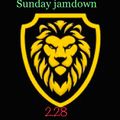 reggae jamdown 2.28