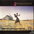 Pink Floyd - Shine On You Crazy Diamond (A Collection Of Great Dance Songs)