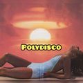 Polydisco - Summer 2019 Mixtape