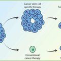 HiperCiencia - Células troncales cancerosas.