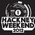 Swedish House Mafia - BBC Radio 1 Hackney Weekend 2012 (Live @ Hackney Marshes - UK) 2012.06.23.