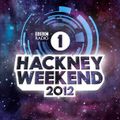 Magnetic Man - Hackney Weekend, UK - 23.06.2012