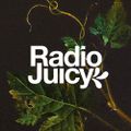 Radio Juicy Vol. 147 (fused by cmrmn)