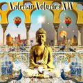 ValerianVolumes_XIV_part1_Day