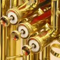 Strike Up The Brass - Jan 24th - Lydbrook Band In Concert