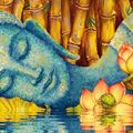 Lời Phật Dạy - Triết Lý Nhà Phật - Đời là Vô Thường