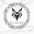ˇˇCLUB PARTY MIX ˇˇ #3 DJ W0lF