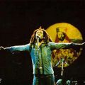 Bob Marley 9-17-80 Meehan Auditorium, Brown University Providence, upgrade