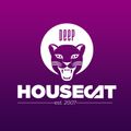 Deep House Cat Show - Backstop Mix - feat. PJ Parker