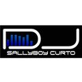 NEW NEW FEB 24 BUBBLEGUM MIX DJ SALLYBOY CURTO
