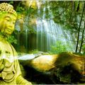 Nhạc Thiền Tịnh Tâm - Meditation Music Buddha - Nhạc Thiền Chọn Lọc Hay Nhất