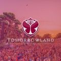 Pete Tong - live @ Tomorrowland 2017 (Belgium) – 23.07.2017