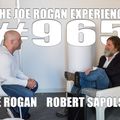 #965 - Robert Sapolsky