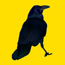 Une étoile dans la gorge on Mixcloud