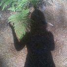 Cécile Morel's profile picture
