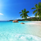Paradise (Beach / Club)'s profile picture
