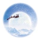 André "Santa" López's profile picture