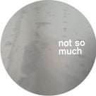 Mosca's profile picture