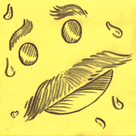 CEDE's profile picture