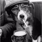 ricjhill's profile picture