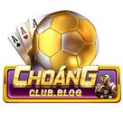 nhacaichoangclub's profile picture