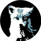 spiel:feld's profile picture