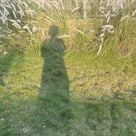 cepiiy's profile picture
