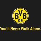 Sven Hammler's profile picture