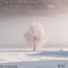 Liquid Licks - January 2023