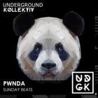 pwnda - pwnda - Sunday Beats - Soundscapes: Cyclic Transmutations (UDGK: 01/09/2024)